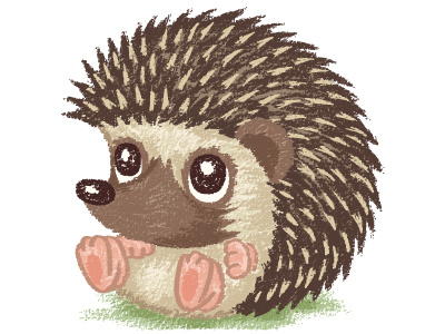 Round Hedgehog animal characters cute drawing hand drawn hedgehog mouse pampered pets pets
