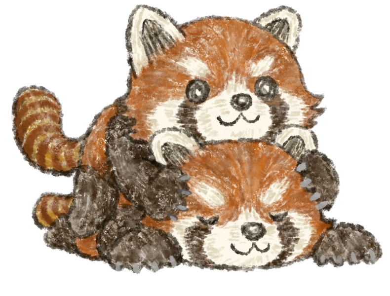 Red Panda HighRes Vector Graphic  Getty Images