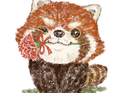 Red panda and a flower animals character illustration panda red panda