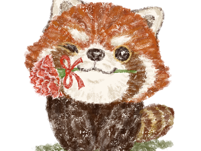 Red panda and a flower