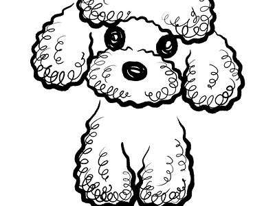 Simple sketch of a poodle