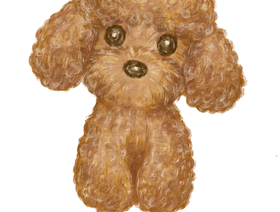 Toy poodle brush drawing character dogs illustration pets poodle poppy