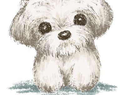 Portrait of Maltese animals character dog illustration pets puppy