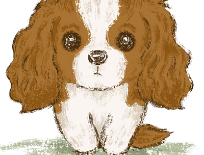 Portrait of a Cavalier King Charles Spaniel animals character dog illustration pets puppy
