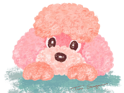 Pink Poodle animal character character design dog illustration pet poodle puppy