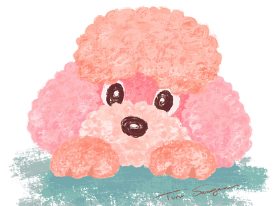 Pink Poodle