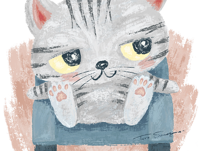 American Shorthair sitting on the sofa animal cat character character design illustration kitten kitty