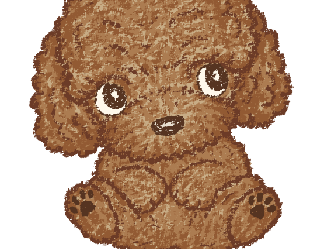 Toy-Poodle by Toru Sanogawa on Dribbble