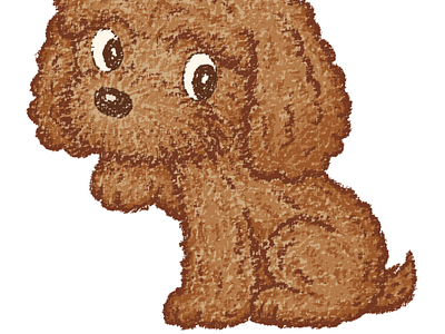 Toy-Poodle