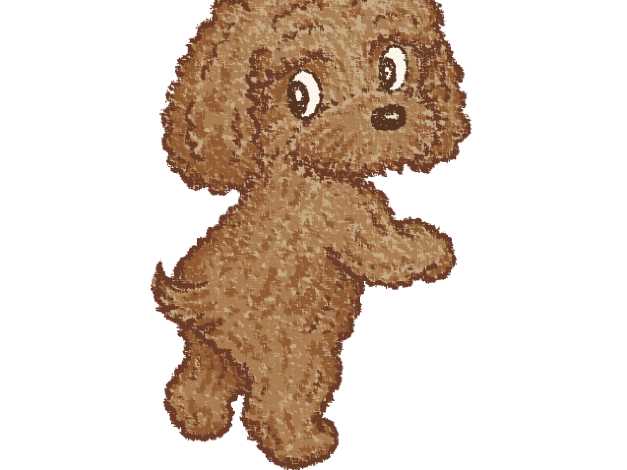 Toy-Poodle by Toru Sanogawa on Dribbble