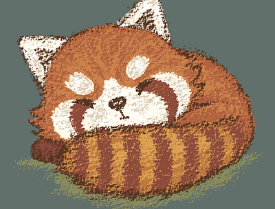 Red panda sleeping animals characters illustration panda pets red panda vector zoo