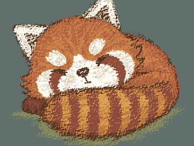 Red panda sleeping