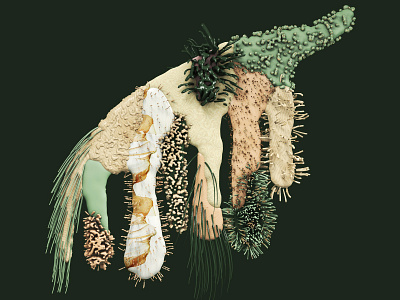 Spruce 3ddesign cinema4d conifers design herbarium illustration motiongraphics nature plantasia plants poster xparticles