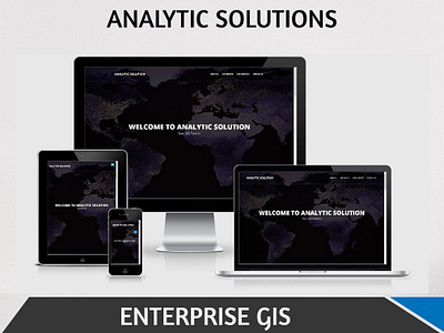 Analytic Solution Website Design