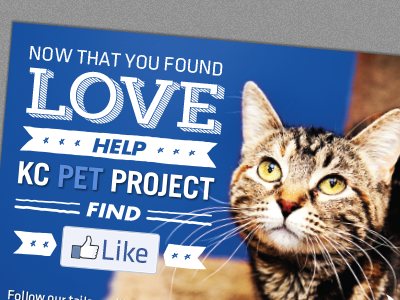 KC Pet Project Postcard cat postcard