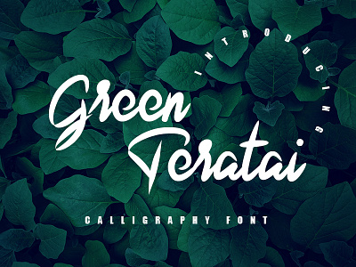 Green Teratai design font fonts handwritten type typeface typography ui ux