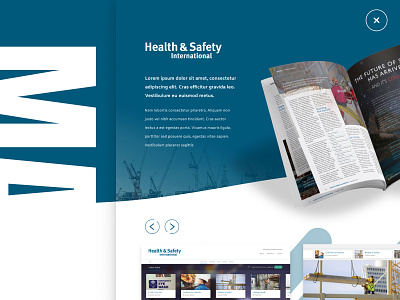 HSI - Product Showcase design web