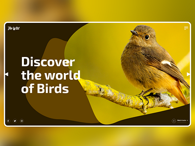 Discover "The World of Birds Online" Webiste
