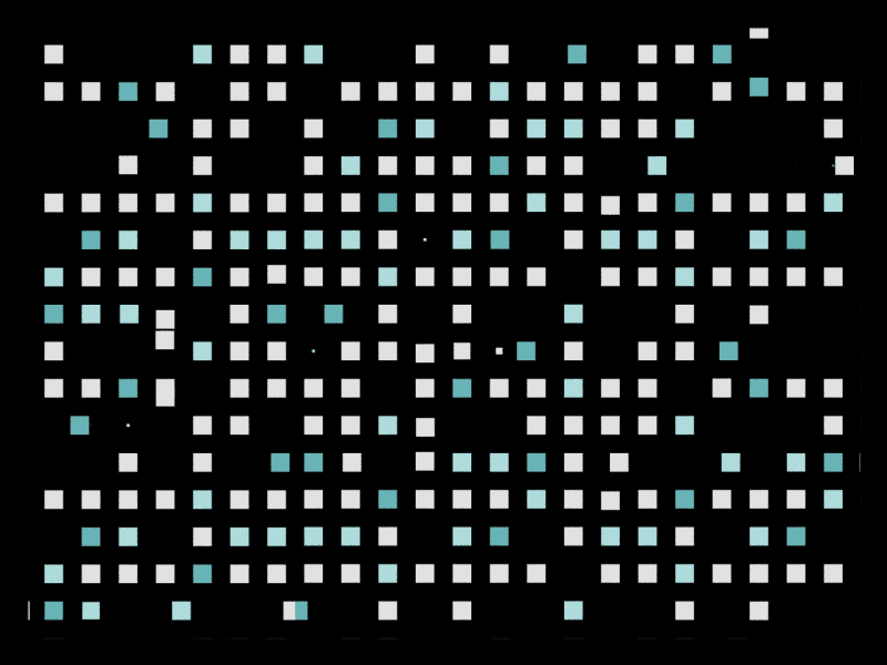 grridds align animation broadcast design dots grid keyframe motion noscript toronto ugh