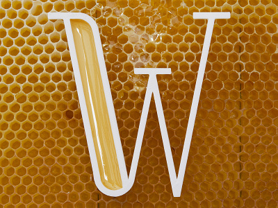 W for Winnie (Winnie) 36days 36daysoftype 3d 3d art 3d letter 3d print 3d printer 3d project bee blender dribbble honey letter lettering real render typo typography w winnie
