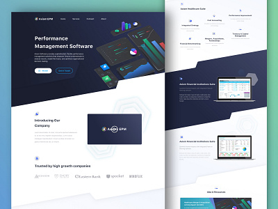 Axiom EPM Website UI/UX Design