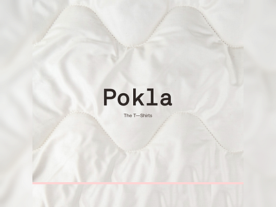 Pokla blur branding logo typography