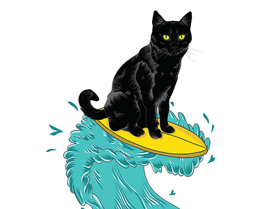 Who Need Surfcat ?