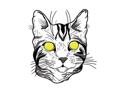 Face Cat cat drawing illustration illustration art