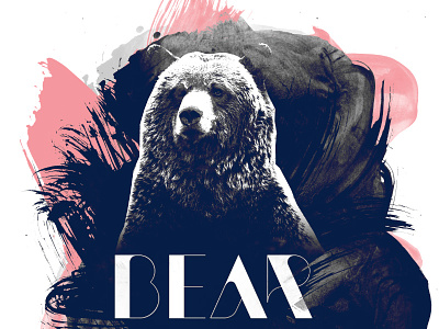 Bear Inc. tee bear brushes illustration