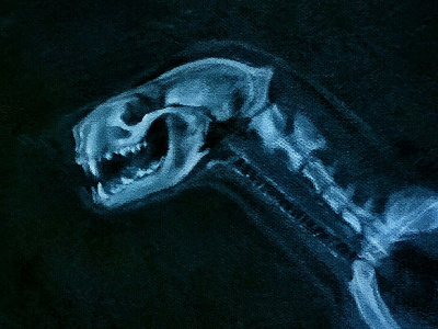 American Mink X-ray acrylic paint acrylic painting acrylics anatomical anatomy bones canvas ferret mink otter paint painting polecat skull skull art traditional art traditional media wip work in progress x ray