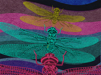 Chasing dragonflies digital art dragonflies dream illustration trippy