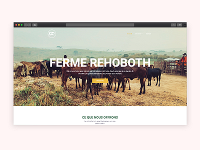 Farm Rehoboth Website Concept