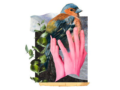 put a bird on it collage illustration
