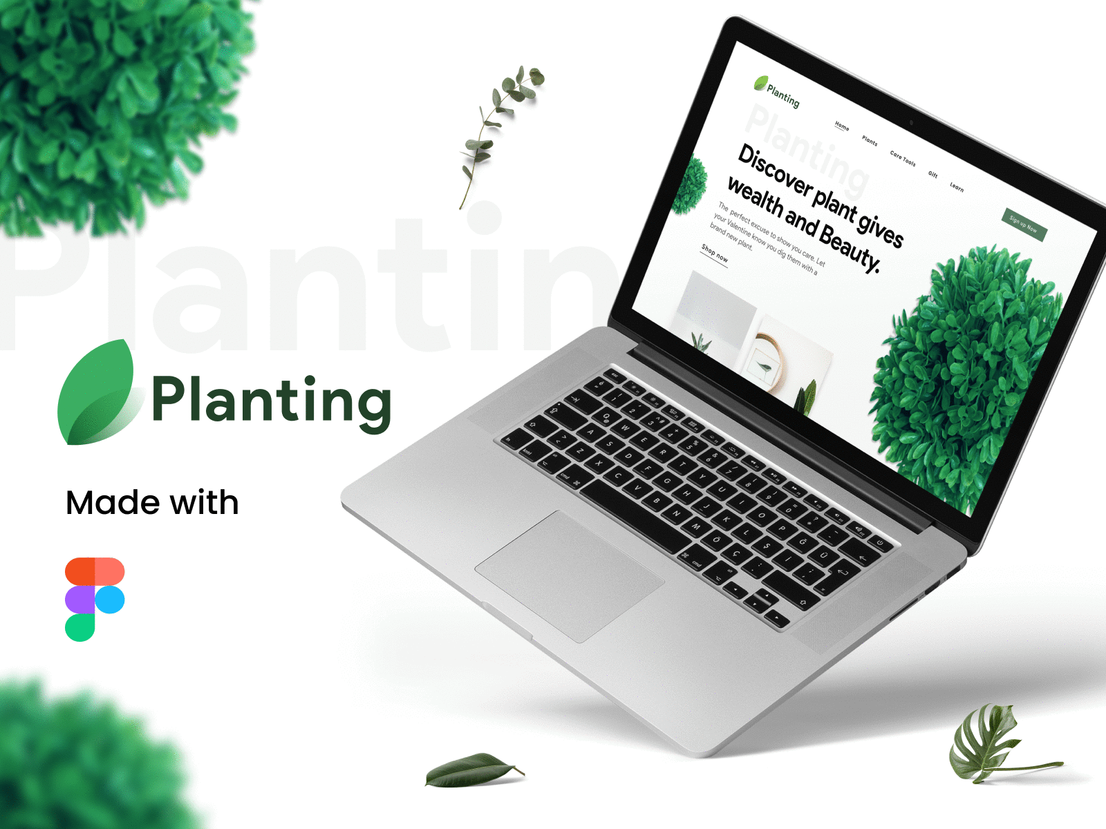 Planting- Landing page exploration 🍀