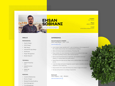 Resume/CV branding color creative cv cv design design resume resume clean resume creative