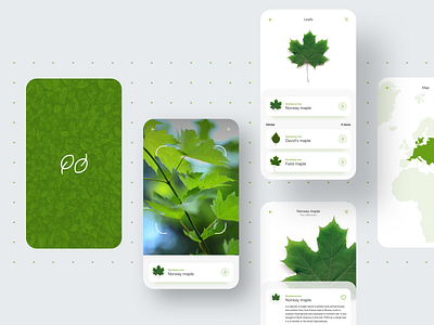 Leafs - mobile app concept eco ecology green leaf mobile app mobile ui scanner splash screen