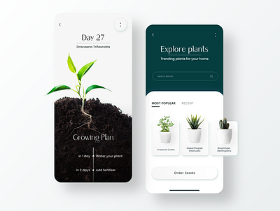 Plant Grow App Design app grow minimal mobile ui plant plants typograhpy ui