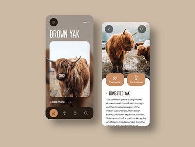 Brown Yak Mobile Design adobexd animal mobile mobile app mobile ui nature outdoor travel ui wiki