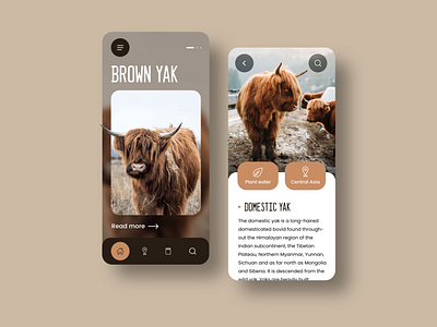 Brown Yak Mobile Design