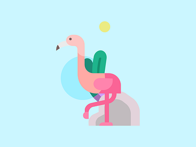 Flamingo bird flamingo illustration vector