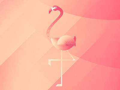 Gustav, the august flamingo. flamingo illustration animals