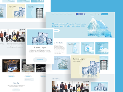 USA Ice Web Design interaction ui ui ux usa ice web design