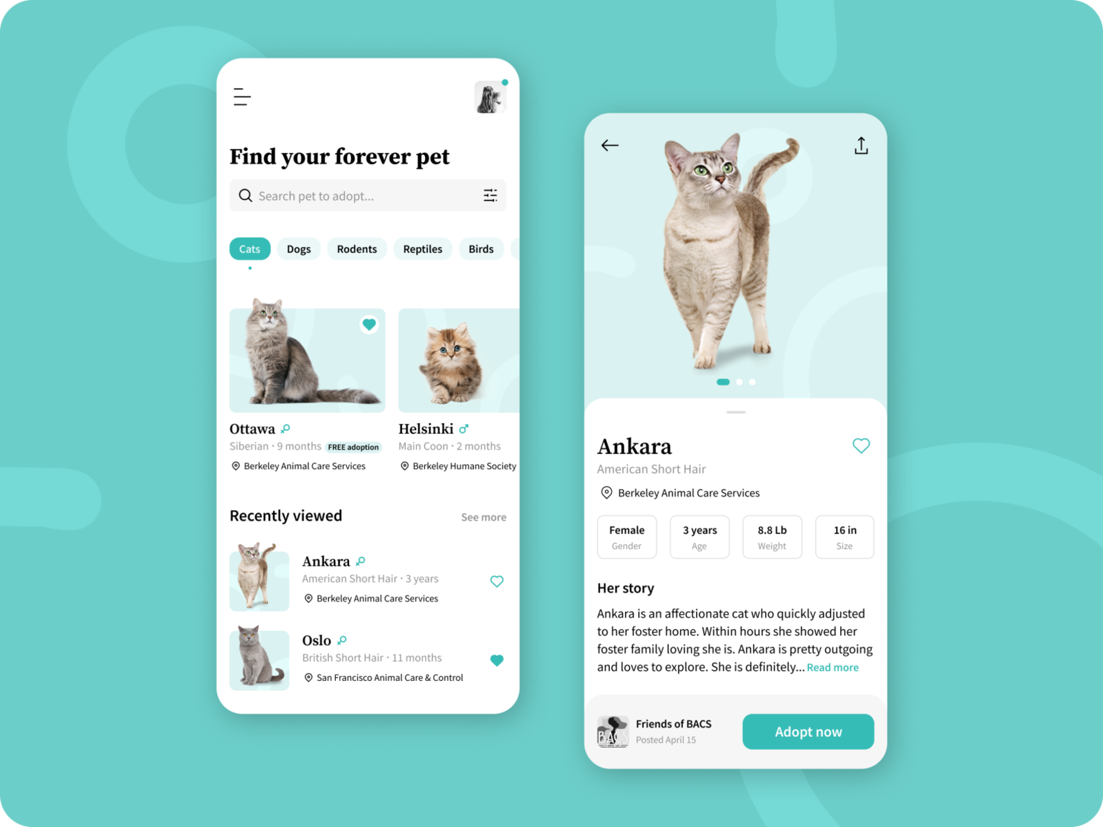 Pet Adoption App Concept by Katheleen on Dribbble