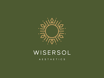 WiserSol