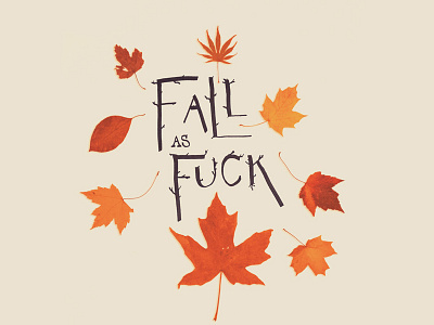 Autumn Auspices autumn fall leaves letters photography type typography