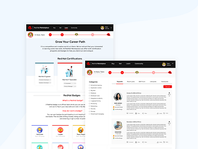 IBM Website Gamification design interface ui ux