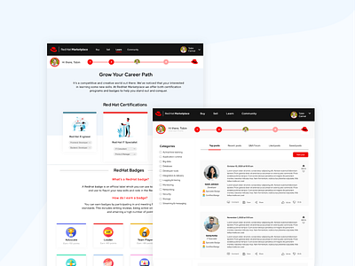 IBM Website Gamification