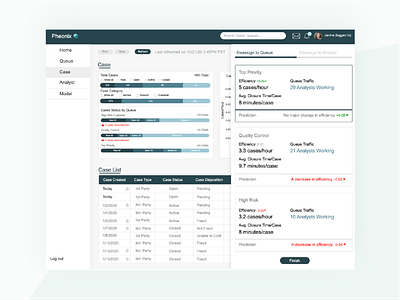 FICO Analytics Dashboard Project data viz design ui ux