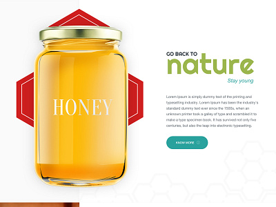 Honey Website UI app honey minimal ui ux website