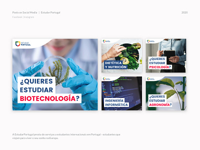 Post to Social Media | Estudar Portugal design post socialmedia